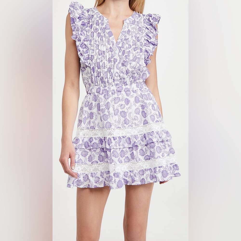 BB Dakota Mariposa Mini Dress